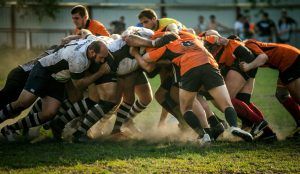 pronostic rugby