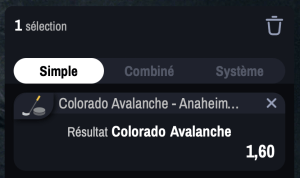 conseil pronostic hockey sur glace nhl