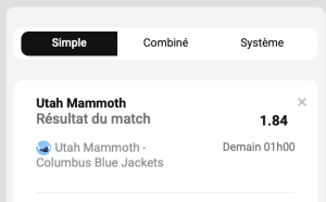 avis parions sport ticket nhl combine fdj